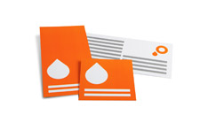 Flyers drukken